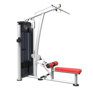 Lat pulldown/Vertical row
