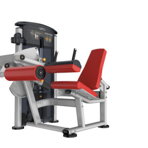 Seated leg curl
