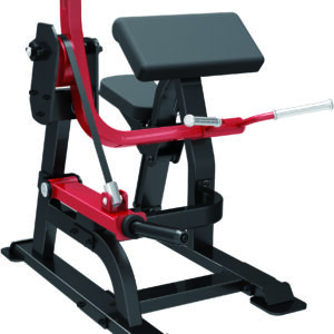 SL Bicep Curl